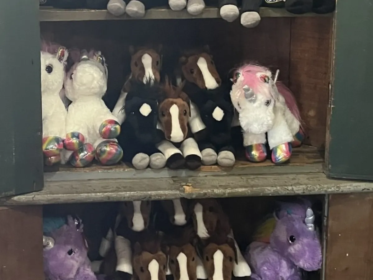 Shelves filled with plush horse and unicorn toys in various colors.