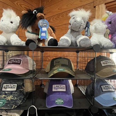 Stuffed animals on top shelf, hats with 'Lawton Stables' logo on lower shelves.